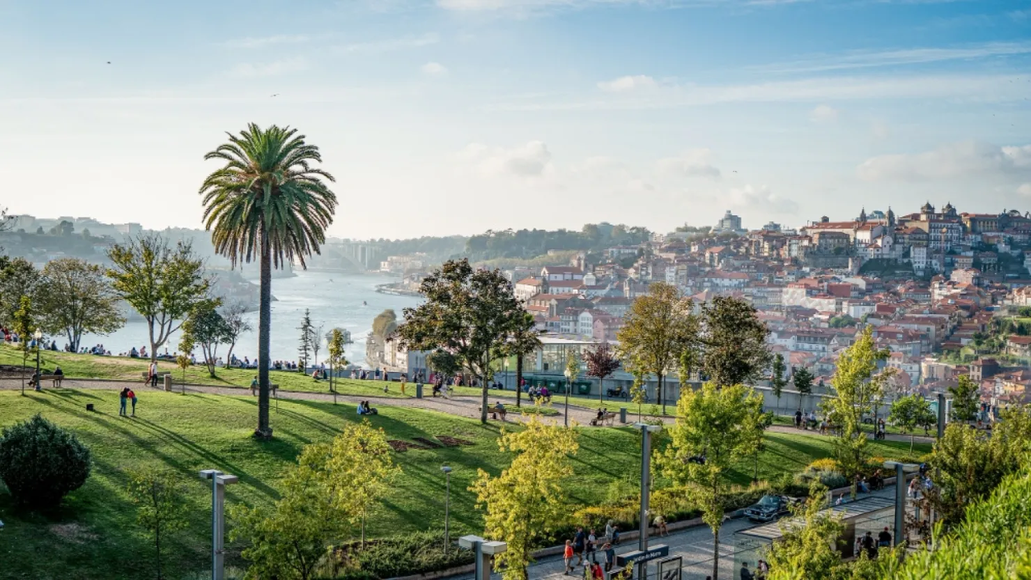  (12)