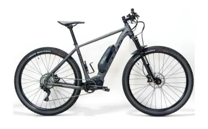eMTB 29