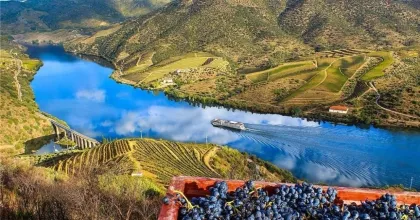 Experiências Imperdíveis no Vale do Douro