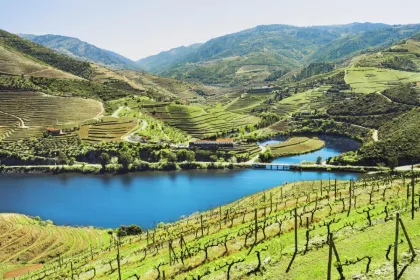 Porquê Visitar o Vale do Douro?