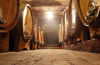 FAQS- Perguntas Frequentes Sobre Tours no Vale do Douro