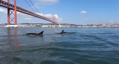 Popular Boat Experiences in Lisbon
