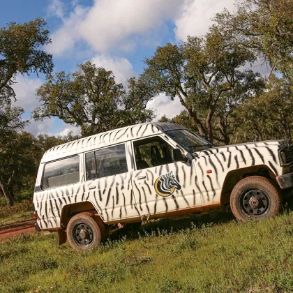 Aventura de jipe safári de dia inteiro pela Zebra Safari
