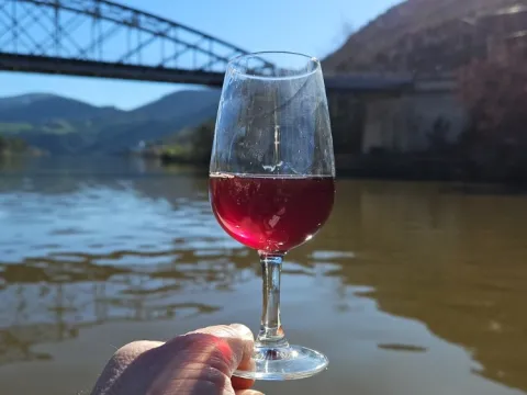 Douro Valley Tour with Winery Visit and River Cruise - from Gaia