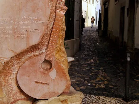 Lisbon Fado Experience with Traditional Dinner and Live Show - Welcome to Lisbon Activities!