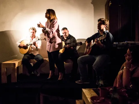 Lisbon Fado & Food Evening Tour with Live Music - Welcome to Lisbon Activities!